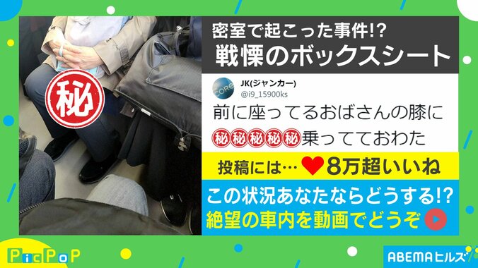 乗客の膝上に乗る“黄色い物体” 偶然遭遇した戦慄の事態に「こんなの前にいたらパニック」「模型?って疑うほどの大きさ」と反響続々 1枚目