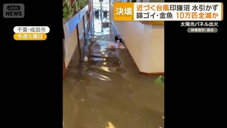浸水していた店内