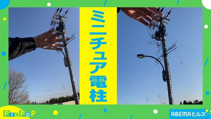 よく見ると違和感…? 精巧な“電柱”がTwitterで話題に