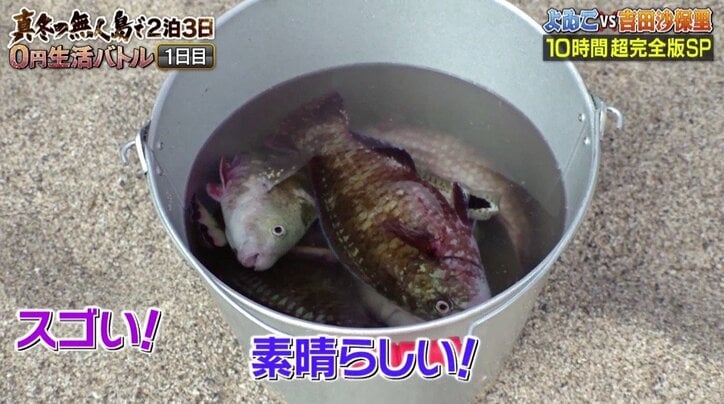 ダレノガレ明美、スクール水着で挑んだ『無人島0円生活』 「次はビキニ」で再チャレンジ?