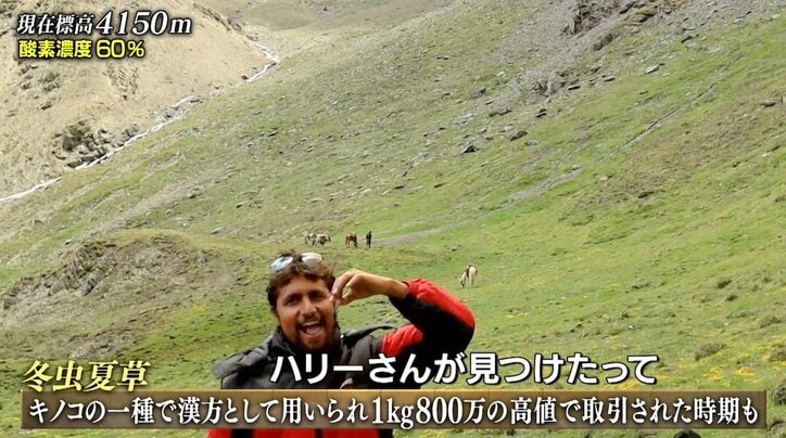 ヒマラヤで“欲にまみれた男たち”の争い! 一心不乱に宝を探す姿にナスD「ああ、もう……」嘆き節