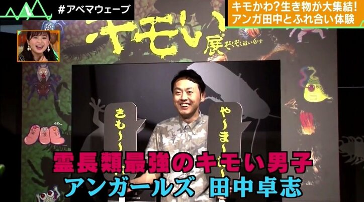 “霊長類最強キモい男子”アンガ・田中も「ヤバい」 キモい生き物が大集結『キモい展』