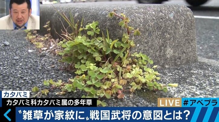 「雑草」に学ぶ現代人の生き方、“一番重要な変化しないもの”に合わせて変化する