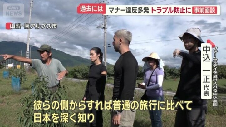 日本人と深く接することができる