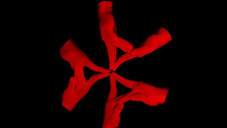 ホラー映画『犬鳴村』がXTRAPとコラボ！暗闇に浮かぶフィンガーダンスに不安感MAX