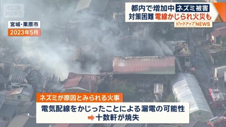ネズミが原因とみられる火事