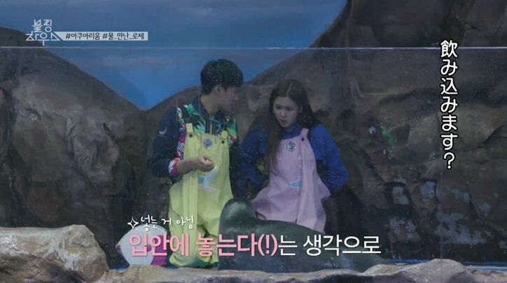 BLACKPINK、コンビニ夜食を爆買い！日本ツアーの裏でカップ麺やお菓子などを堪能