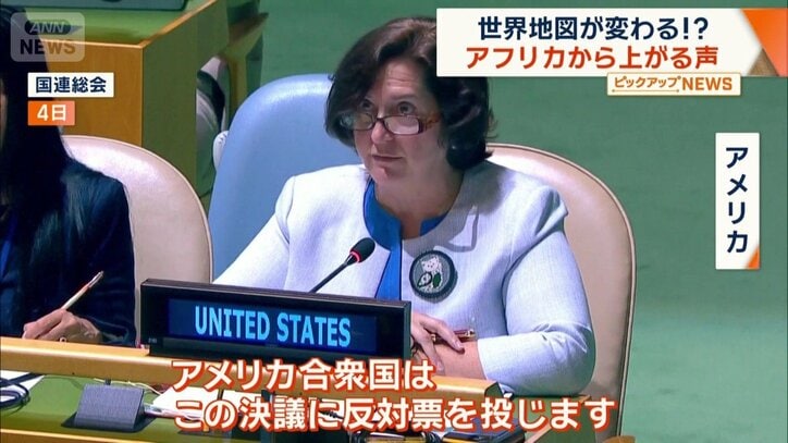 反対したアメリカ