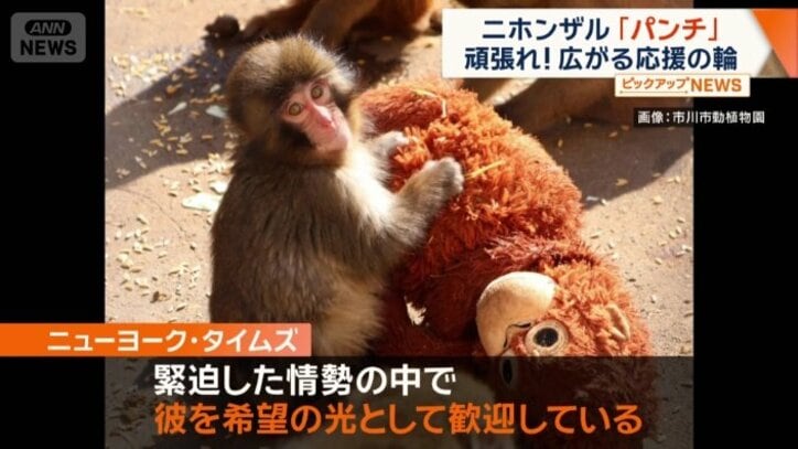 「緊迫した情勢の中で彼を希望の光として歓迎」