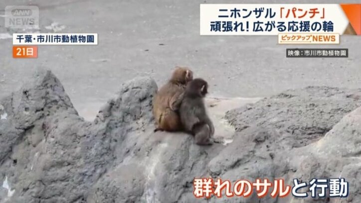 “ぬいぐるみ離れ“