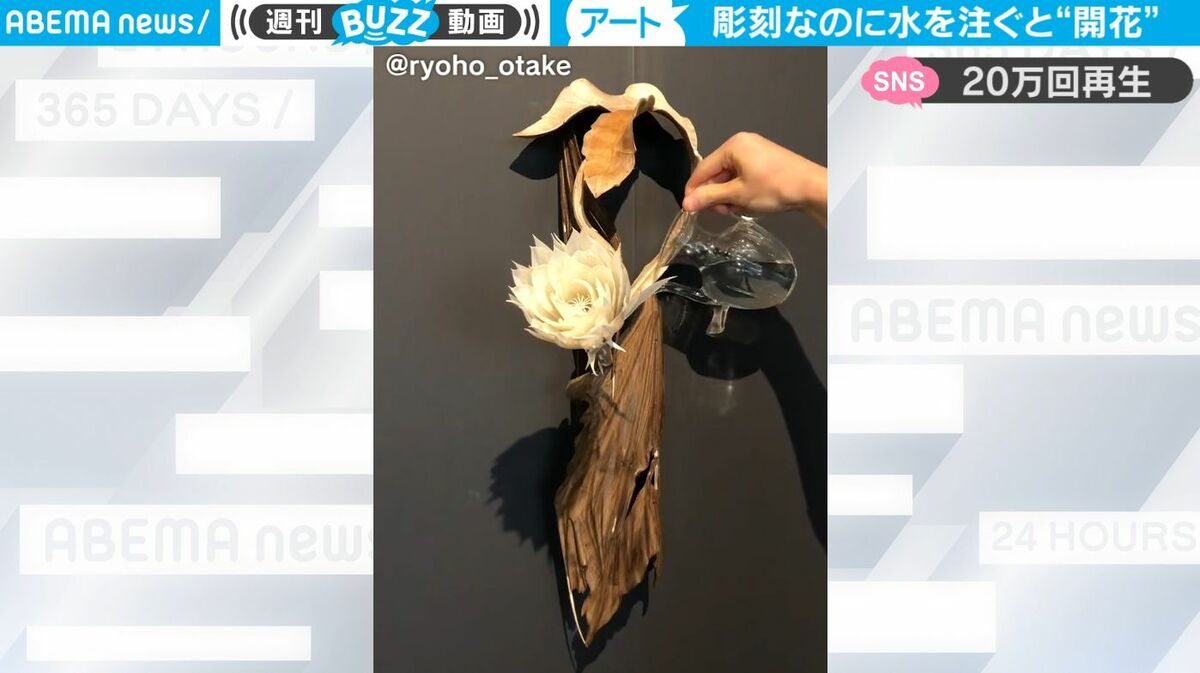 月が注ぐ花 img_71293efdc2dc221073097fc5fe