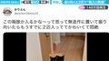 無造作に置いた段ボール→すでに“黒猫2匹”がひょっこり 仲良く並ぶ光景に「素敵なギフトボックス」悶絶の声