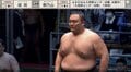 朝乃山に“全力”でぶちかました18歳力士 春場所で館内を沸かせた期待のサラブレッド