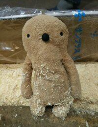 江口ともみ『応援ありがとうございます』