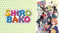 P.A.WORKS制作「SHIROBAKO」
