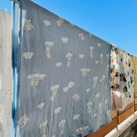 だいたひかる『私の体調』