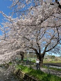 原田龍二の嫁『初めてブログ記念日！』