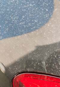 細川直美『朝から』