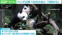 【映像】1分見るために「5時から」パンダ公開