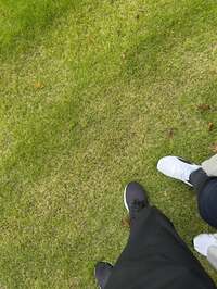 森岡茂『皮膚科でした（お返事少し）』