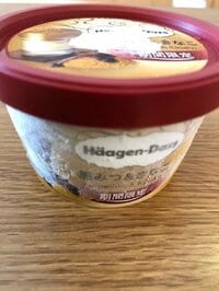 堀ちえみ『散歩の後のアイスクリーム』