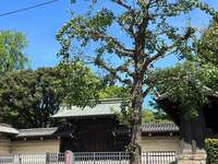 遠山ちづ子『暑い日は簡単料理で。』