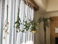 クロ『母性。』