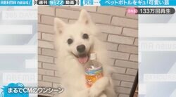 ペットボトルを大事にぎゅっ ワンコのあざと可愛い芸に「無限ループしてしまう」の声