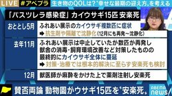 ウサギの安楽死をめぐり批判の声も…動物園のあり方、あなたはどう考える?