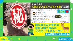 “パリピ”みたいな鹿!? まるでダブルピースをしているかのような“ハッピー”すぎる姿に「クラスに1人はいるお調子者」「ポーズと表情の差ｗ」と反響続々