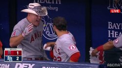 トラウト、完全復活！天井付近直撃の特大130メートル弾に大谷翔平もさりげなくタッチで祝福「すんごい当たり」「打った瞬間わかるやつ」