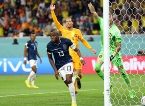 オランダがガクポ弾で先制も、エクアドルの大黒柱が意地の同点ゴール！ドロー決着で開催国カタールの敗退のみ決定【W杯A組】