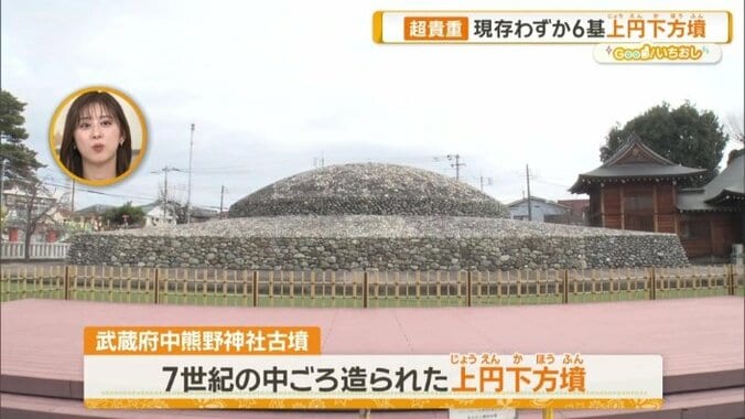 武蔵府中熊野神社古墳