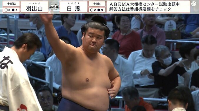 十両十三枚目・羽出山