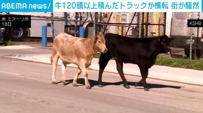 米 ミズーリ州