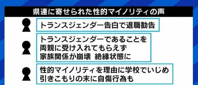 自民党の埼玉県議団が提案の「性の多様性に係る理解増進に関する条例案」に八木秀次氏「拙速ではないか」…「男女別学の公立高はどうするのか」との指摘も 4枚目
