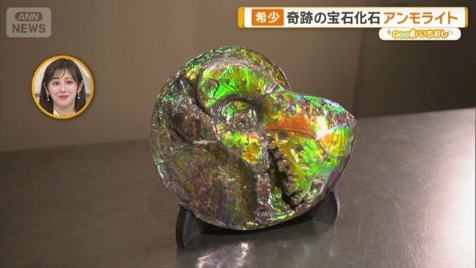 アンモライト