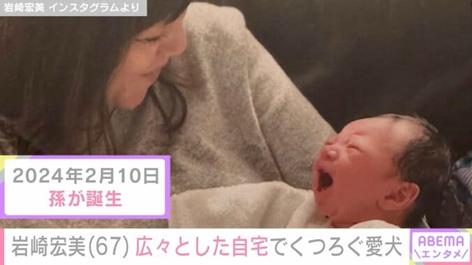 孫の顔出しが話題・岩崎宏美（67）、広々とした自宅でくつろぐ愛犬に反響「良い子にしているのですね」 3枚目