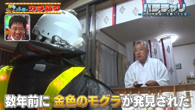 金色もモグラとは