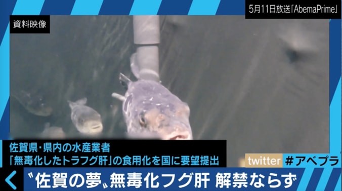 国vs佐賀県のバトル　「毒のないフグの肝」を食べられる日は来るのか？ 2枚目