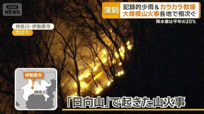 神奈川県伊勢原市