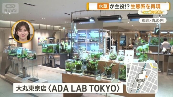 アクアリウムショップ「ADA LAB TOKYO」