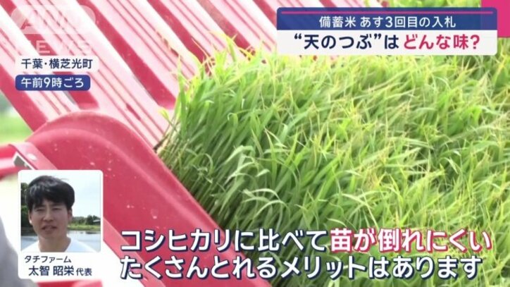 「ふさこがね」