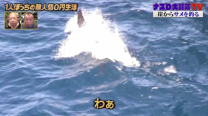 ナスD、崖からサメを狙い…水中カメラで撮った貴重映像！ 大きさは約3メートル、体重300kg以上か