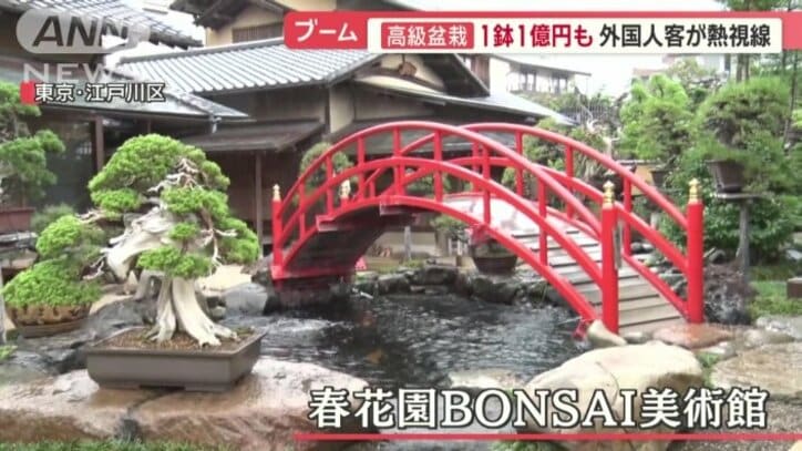 「春花園BONSAI美術館」