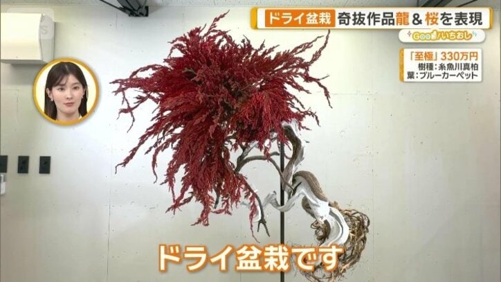 藤田さんのアトリエ