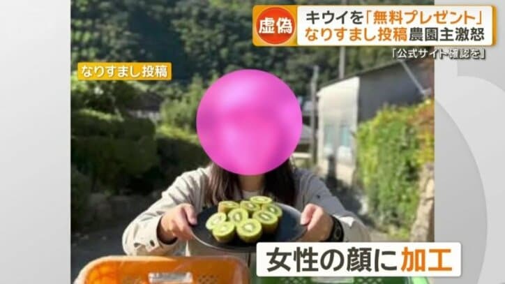 なりすまし投稿
