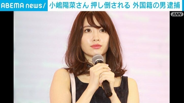 被害を受けた小嶋陽菜さん