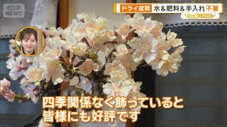 一年中楽しめる