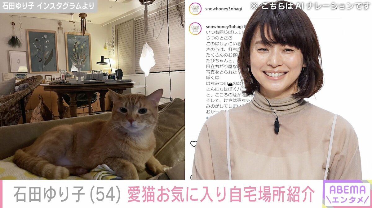 石田ゆり子、愛猫がくつろぐ自宅の一室を紹介「ステキなおうち